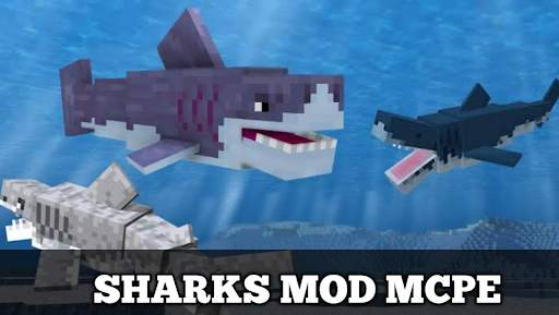 Sharks Mod for Minecraft pe screenshot 1