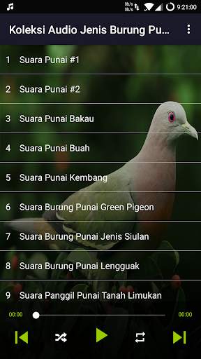 Suara Punai: Green Pigeon screenshot 4