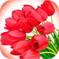 Flowers stickers for WhatsApp logo
