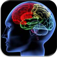Shuffle 'n Slide Brain Game
