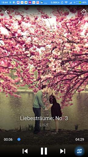 Relaxing Classical Music screenshot 8