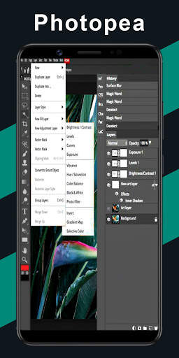 Photopea Pro - Best Photo Editor 2020 screenshot 3