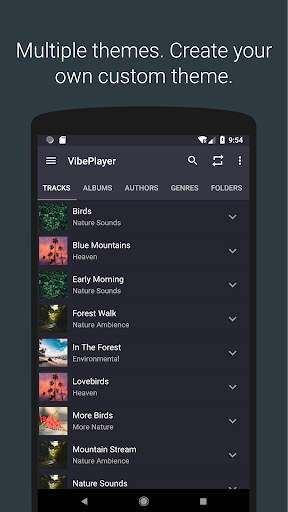 VibePlayer - Audio/Video Player screenshot 5