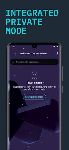 Opera Crypto Browser screenshot 7