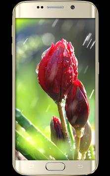 HD wallpaper backgrounds screenshot 7