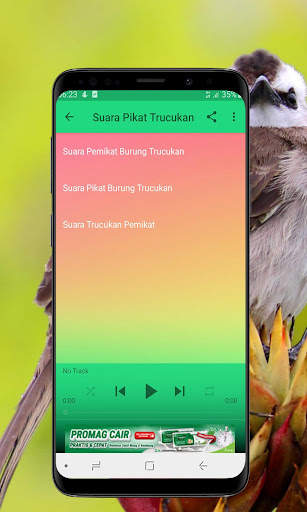 Kicau Burung Trucukan Offline screenshot 5