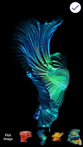 Betta Fish Lock Screen & Wallpaper screenshot 8