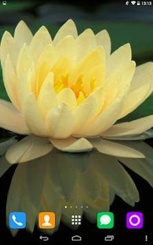 Water Lily Live Wallpaper screenshot 3