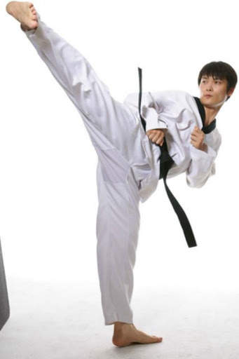 Taekwendo guide screenshot 1