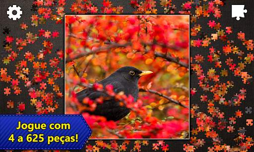 Quebra-Cabeças Jigsaw Puzzles screenshot 5