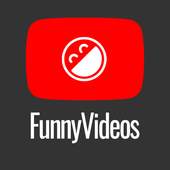 Top Funny Videos 2019 1.0.6