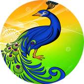 Peacock Browser - Fast Download logo