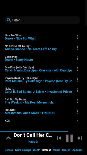 iWire Music screenshot 3