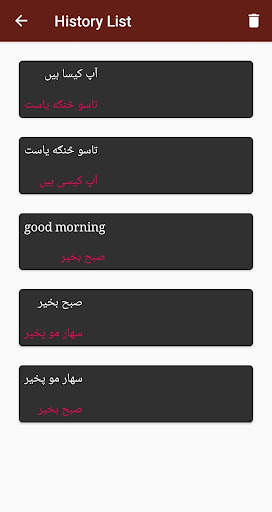 Pashto - Urdu Translator screenshot 4