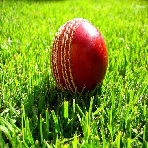 Howzat Cricket 2D 1.1
