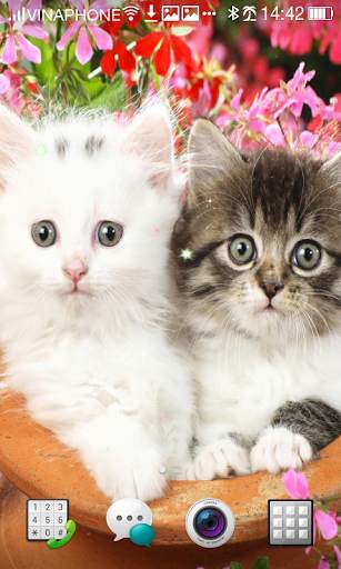 Cat Live Wallpaper HD 4K screenshot 3