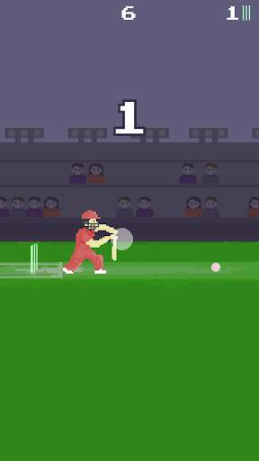 Pixel Cricket Game screenshot 2