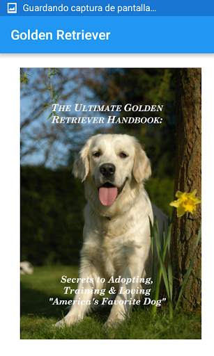Golden Retriever скриншот 2