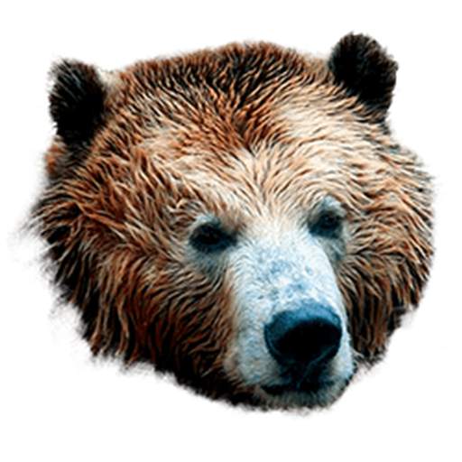ID Scanner - Age Verification 1.3.0