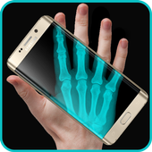 ikon Xray Scanner