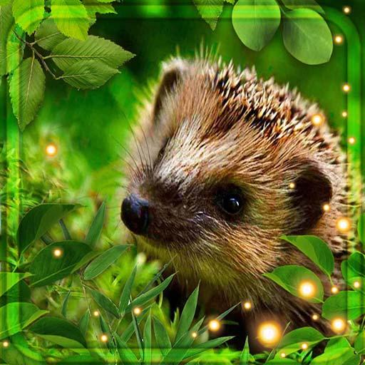 Hedgehogs Forest Live Wallpaper icon