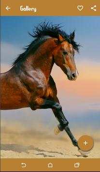 Horse Wallpapers screenshot 7
