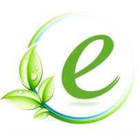 E-Services Pakistan