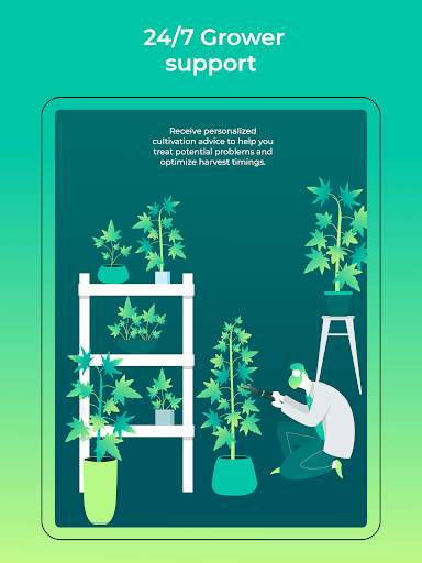 HiGrade: THC Testing & Cannabi screenshot 12