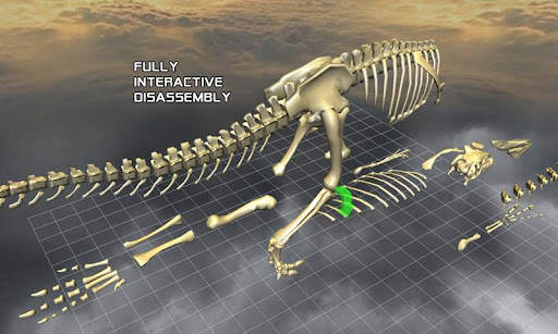 Body Disassembly 3D screenshot 5