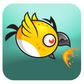 crazy bird fly 1