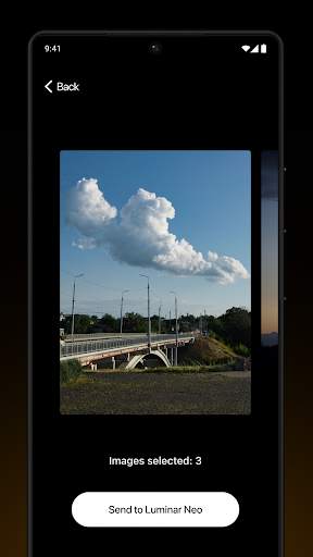 Share with Luminar Neo screenshot 5