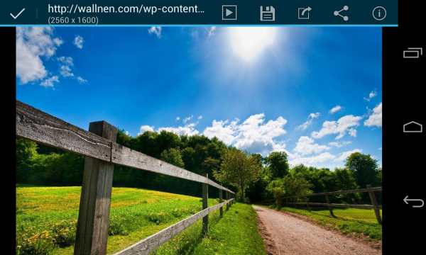 DroidIris : Image Search screenshot 2