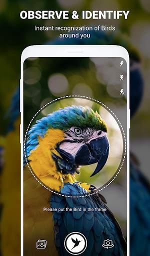 Birds Identifier App by Photo, Bird ID Camera 2020 screenshot 1