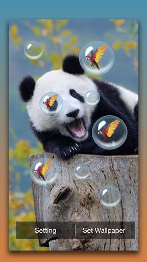 Panda Live Wallpaper screenshot 4