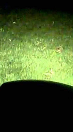 Power saver FlashLight screenshot 5