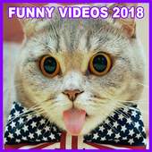 Funny Videos 2018 1.0