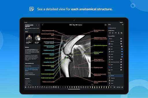vet-Anatomy screenshot 12