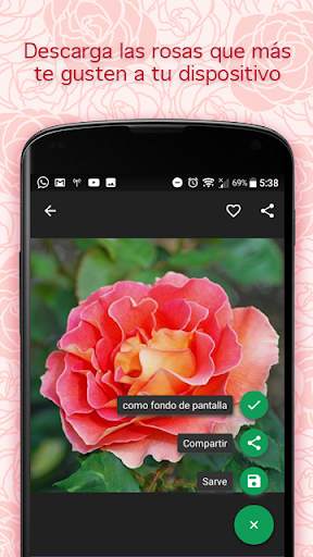 Pictures of Roses screenshot 2