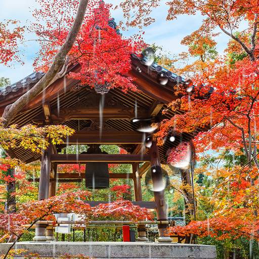 Zen Garden Live Wallpaper 1.0.6