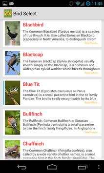 Bird Quiz Alarm Clock screenshot 4