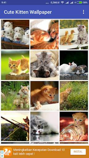 Cute Kitten Wallpaper screenshot 2
