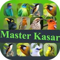 Master Suara Burung Kasar icon