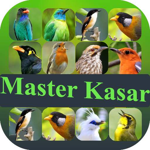 Master Suara Burung Kasar 1.0.0