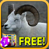 Dall Sheep Slots - Free icon