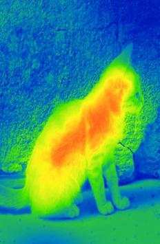 Thermal Camera Simulator screenshot 3