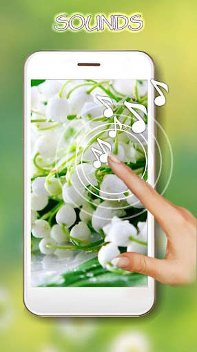 Lily May Live Wallpaper screenshot 1