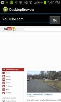 Desktop Mode Browser screenshot 2