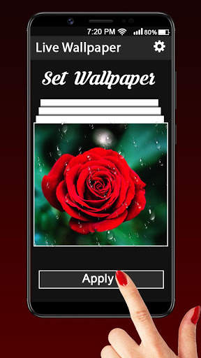 Red Rose Live Wallpaper :HD 2020 2 تصوير الشاشة
