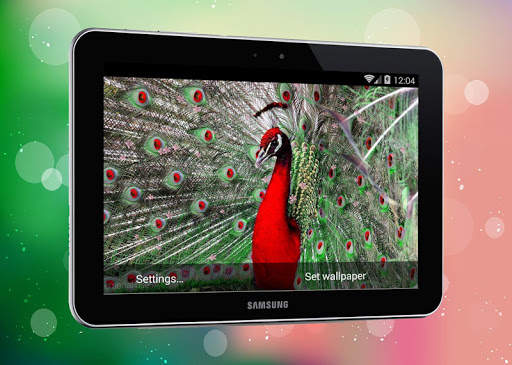 New Peacock Live Wallpaper screenshot 1