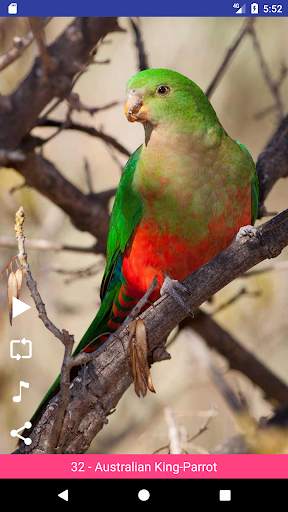 Bird Sounds स्क्रीनशॉट 8